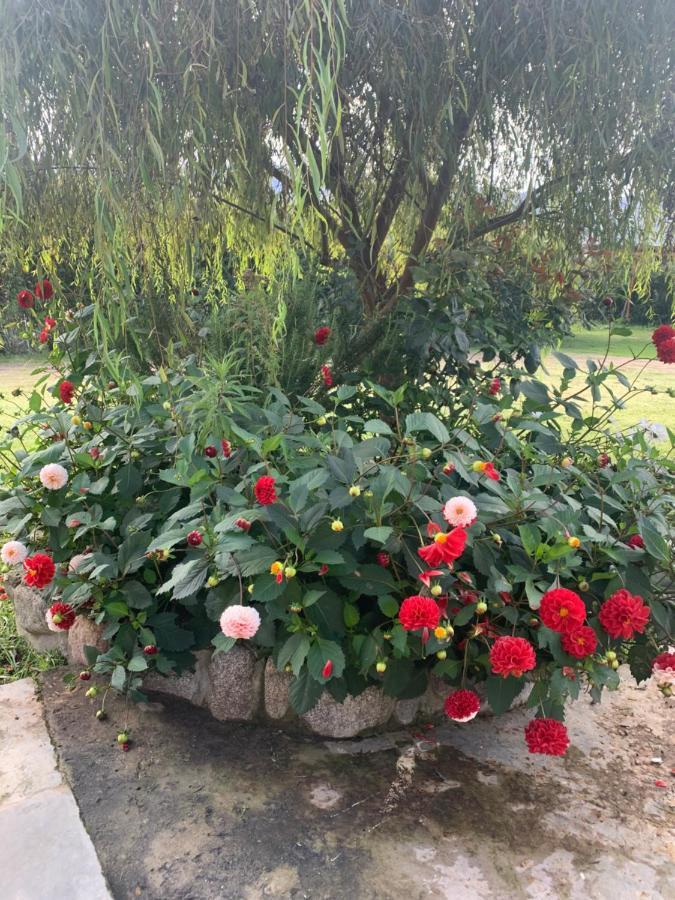 Posada La Sofia Tafi del Valle Ngoại thất bức ảnh