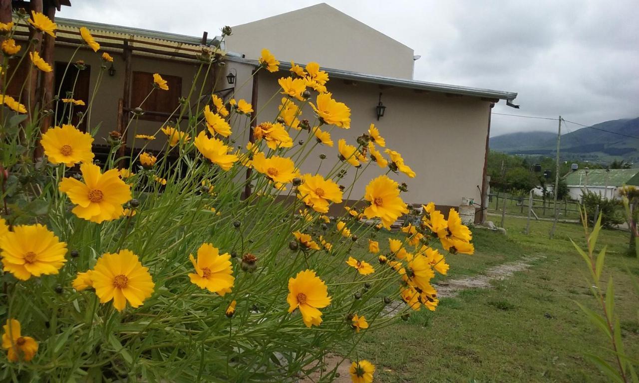 Posada La Sofia Tafi del Valle Ngoại thất bức ảnh